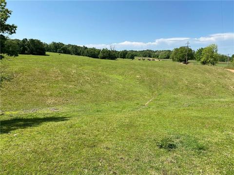 1140 Mud Springs Rd, Anderson, MO 64831 photo 11