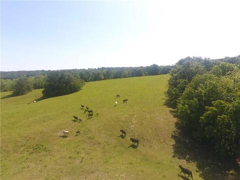 1140 Mud Springs Rd, Anderson, MO 64831 photo 21