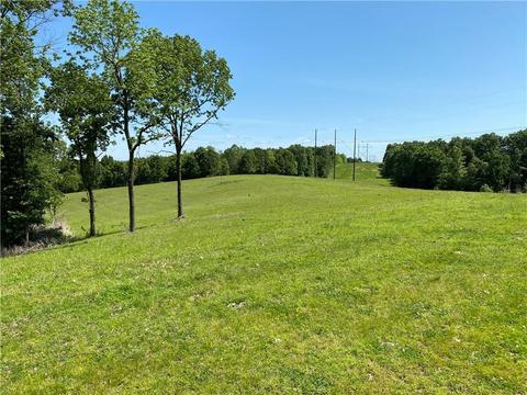 1140 Mud Springs Rd, Anderson, MO 64831 photo 6