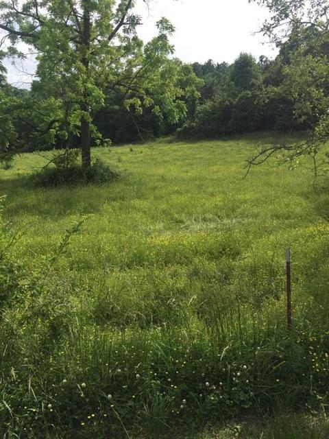 2790 Lealer Ln, Springdale, AR 72764