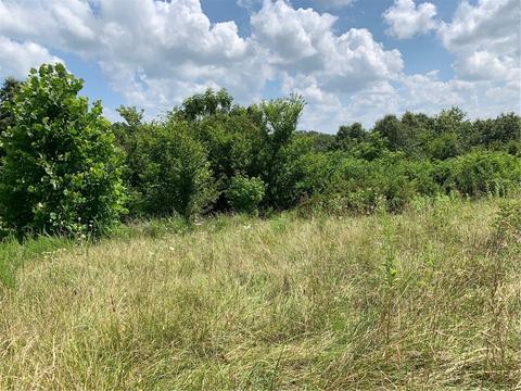 21844 War Eagle Blacktop Rd, Springdale, AR 72764 photo 2