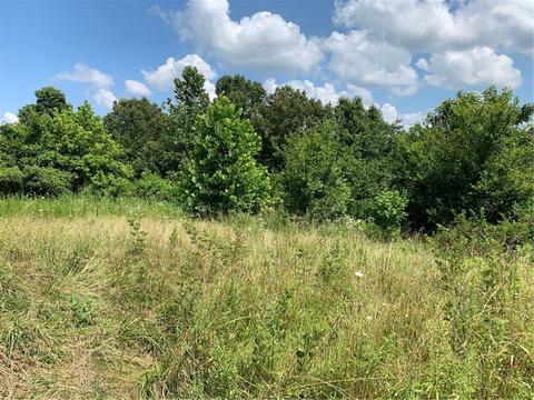 21844 War Eagle Blacktop Rd, Springdale, AR 72764 photo 5