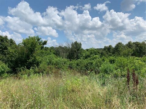 21844 War Eagle Blacktop Rd, Springdale, AR 72764 photo 4