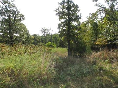7300 E Harbor Dr, Lead Hill, AR 72644 photo 2