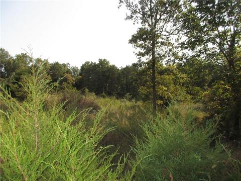 7300 E Harbor Dr, Lead Hill, AR 72644 photo 8
