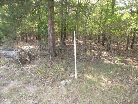 7300 E Harbor Dr, Lead Hill, AR 72644 photo 4