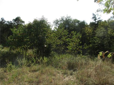 7300 E Harbor Dr, Lead Hill, AR 72644 photo 12