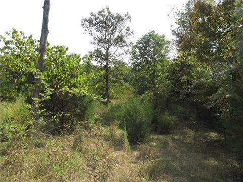 7300 E Harbor Dr, Lead Hill, AR 72644 photo 7