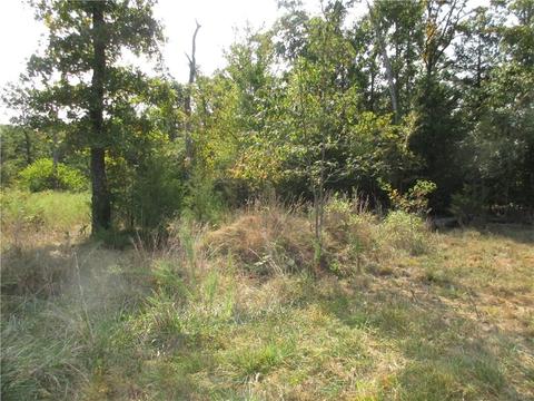 7300 E Harbor Dr, Lead Hill, AR 72644 photo 3