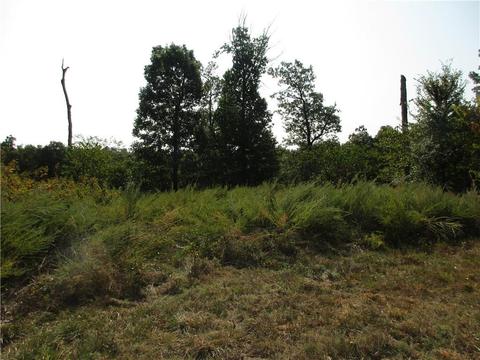 7300 E Harbor Dr, Lead Hill, AR 72644 photo 17
