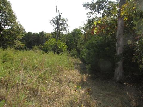 7300 E Harbor Dr, Lead Hill, AR 72644 photo 5