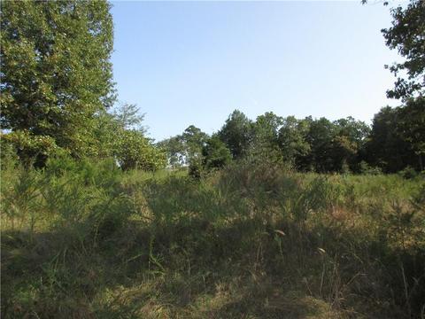 7300 E Harbor Dr, Lead Hill, AR 72644 photo 9
