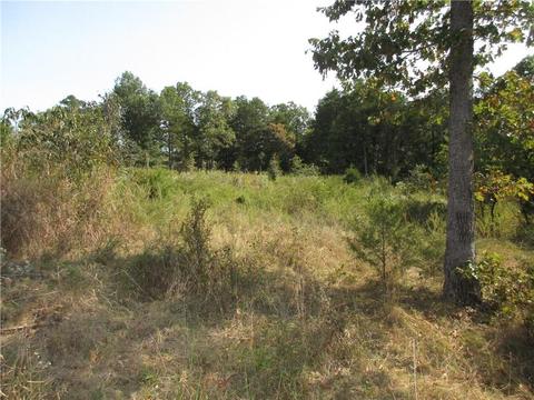 7300 E Harbor Dr, Lead Hill, AR 72644 photo 11
