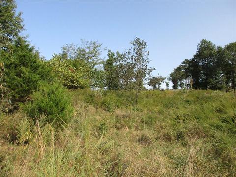7300 E Harbor Dr, Lead Hill, AR 72644 photo 14