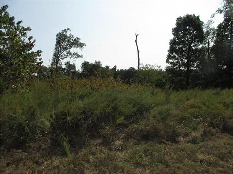 7300 E Harbor Dr, Lead Hill, AR 72644 photo 16