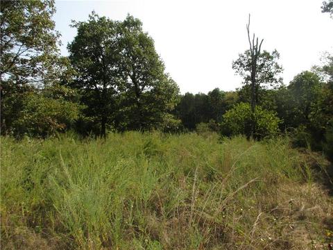 7300 E Harbor Dr, Lead Hill, AR 72644 photo 6