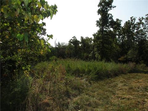 7300 E Harbor Dr, Lead Hill, AR 72644 photo 19