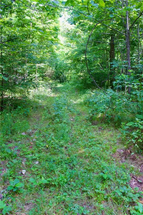 290 Chipmunk Ln, Harriet, AR 72639 photo 17