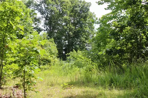 290 Chipmunk Ln, Harriet, AR 72639 photo 20