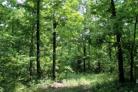 290 Chipmunk Ln, Harriet, AR 72639 photo 29