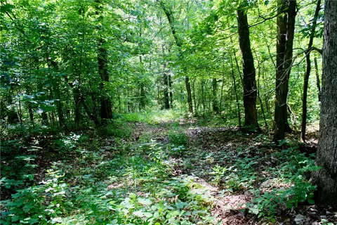 290 Chipmunk Ln, Harriet, AR 72639 photo 13