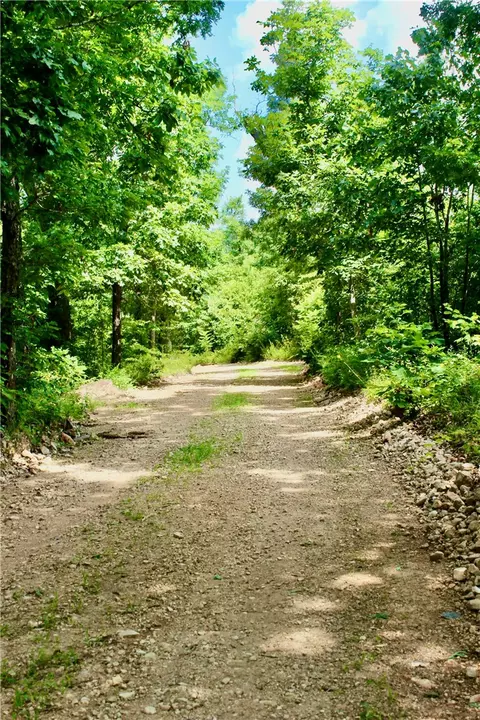290 Chipmunk Ln, Harriet, AR 72639 photo 21