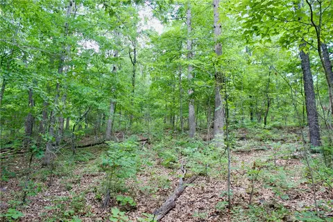 290 Chipmunk Ln, Harriet, AR 72639 photo 22