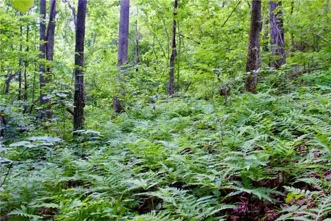 290 Chipmunk Ln, Harriet, AR 72639 photo 15