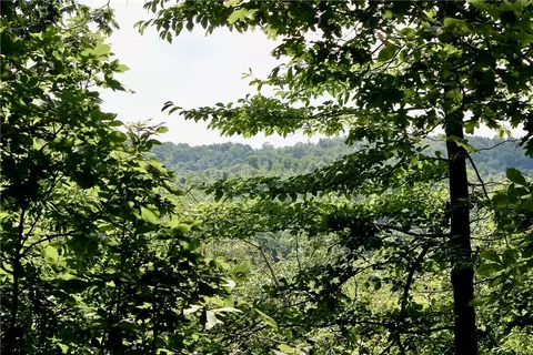 290 Chipmunk Ln, Harriet, AR 72639 photo 19
