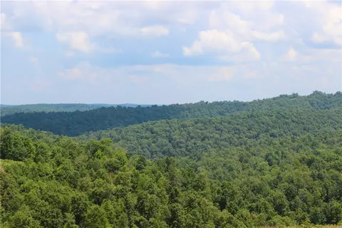 290 Chipmunk Ln, Harriet, AR 72639 photo 2