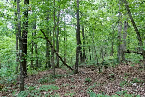 290 Chipmunk Ln, Harriet, AR 72639 photo 25