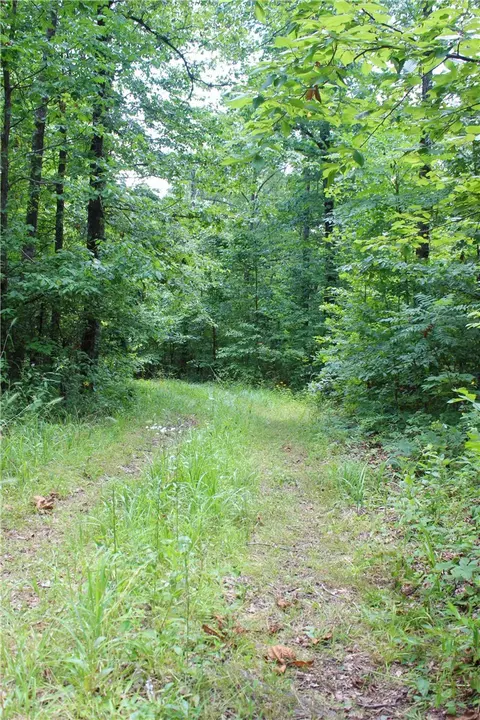290 Chipmunk Ln, Harriet, AR 72639 photo 26