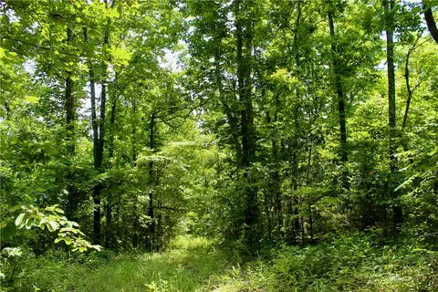 290 Chipmunk Ln, Harriet, AR 72639 photo 30