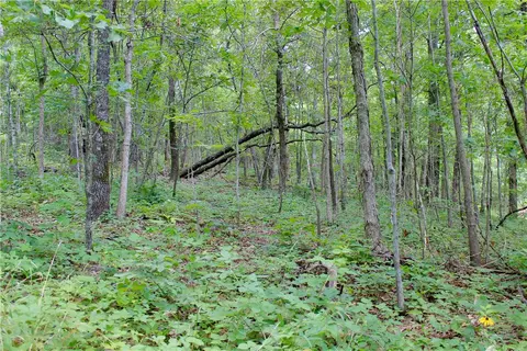 290 Chipmunk Ln, Harriet, AR 72639 photo 24