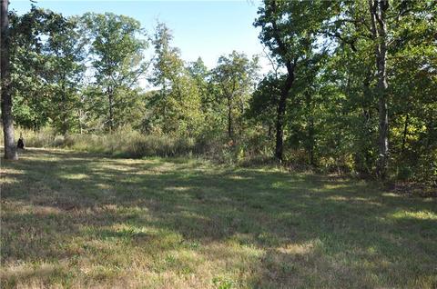 924 Mcnelly Rd, Seligman, MO 65745 photo 8