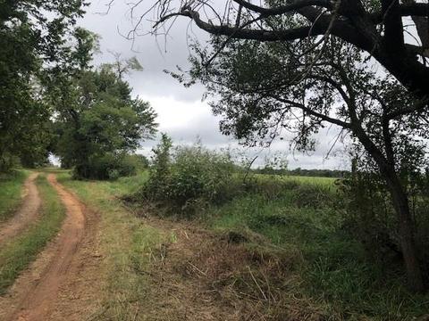 11081 Summers Rd, Summers, AR 72769 photo 2