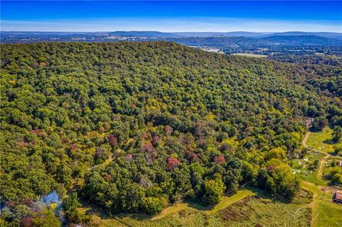 11317 State Line Rd, Summers, AR 72769 photo 2