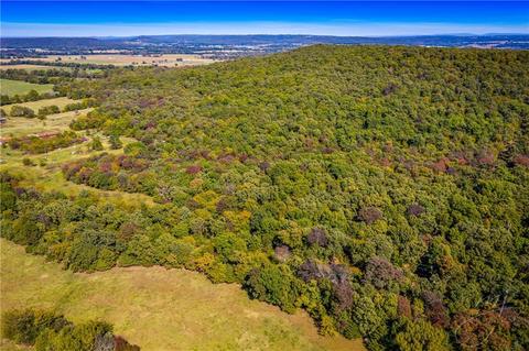 11317 State Line Rd, Summers, AR 72769 photo 1