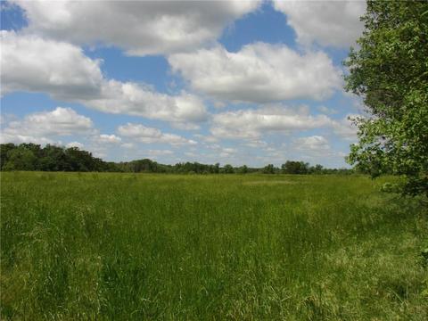 5573 N State Highway 43, Seneca, MO 64865 photo 1