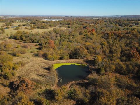 23117 Tunnell Rd, Summers, AR 72769 photo 9