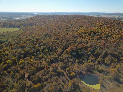 23117 Tunnell Rd, Summers, AR 72769 photo 7