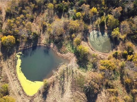 23117 Tunnell Rd, Summers, AR 72769 photo 8