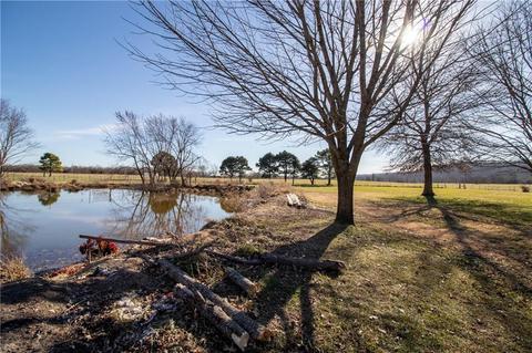 3149 Reed Ave, Springdale, AR 72764 photo 28