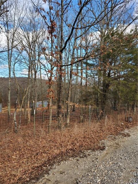 14650 Trace Branch Rd, West Fork, AR 72774 photo 2