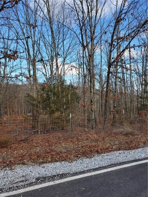 14650 Trace Branch Rd, West Fork, AR 72774 photo 1