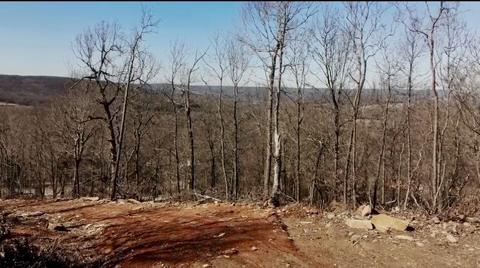 12760 Patton Rd, West Fork, AR 72774 photo 3