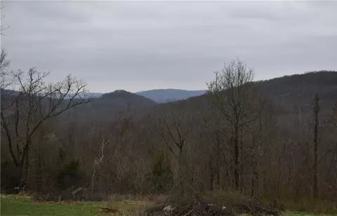 20655 Strickler Rd, West Fork, AR 72774 photo 3