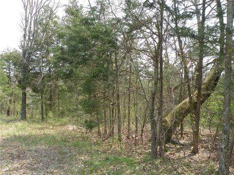 30 Eagle Dr, Holiday Island, AR 72631