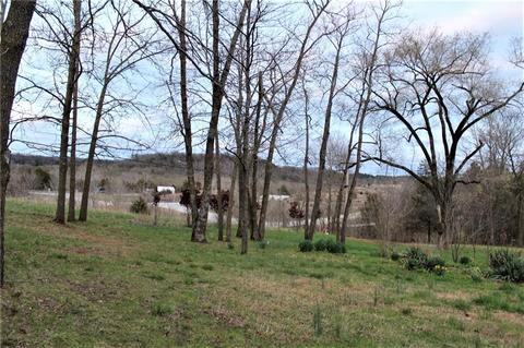 83 Duncan Ln, Pineville, MO 64856 photo 28