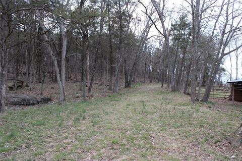 83 Duncan Ln, Pineville, MO 64856 photo 24